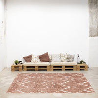 Modern & Contemporary Pink Area Rug Shag