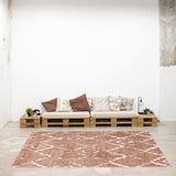 Modern & Contemporary Pink Area Rug Shag