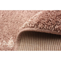 Modern & Contemporary Pink Area Rug Shag