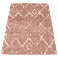 Modern & Contemporary Pink Area Rug Shag