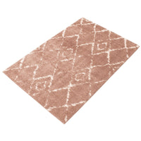Modern & Contemporary Pink Area Rug Shag