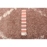 Modern & Contemporary Pink Area Rug Shag