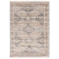 Taupe Bohemian & Eclectic Soft Area Rug