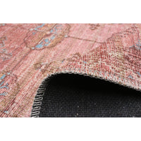Machine Washable Bohemian & Eclectic Soft Rug