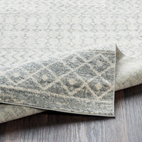 Distressed Geometric Ivory Gray Area Rug