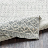 Distressed Geometric Ivory Gray Area Rug