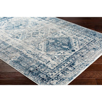 Distressed Persian Pattern Sky Blue Light Gray Soft Area Rug