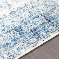 Distressed Persian Pattern Sky Blue Light Gray Soft Area Rug