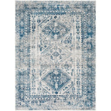 Distressed Persian Pattern Sky Blue Light Gray Soft Area Rug
