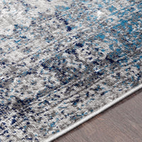 Oriental Distressed Persian Pattern Sky Blue Light Gray Soft Area Rug