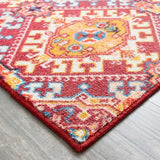 Home Isle Ornamental Medallion Soft Area Rug