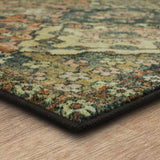 Home Sofia Ornamental Medallion soft Area Rug