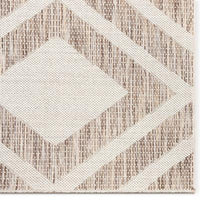Modern Bold Flatweave Beige Soft Area Rug