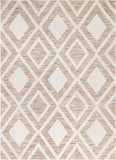 Modern Bold Flatweave Beige Soft Area Rug