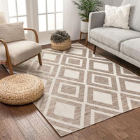 Modern Bold Flatweave Beige Soft Area Rug
