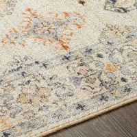 Persian Machine Washable Area Soft Rug