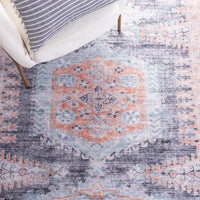 Serapi Diethilde Shabby Chic Distressed Machine Washable Soft Rug