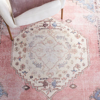 Serapi Gulzada Shabby Chic Distressed Machine Washable Soft Rug