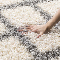 Ivory Grey Soft Plush Area Rug Shag