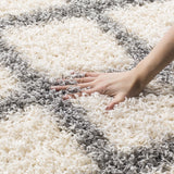 Ivory Grey Soft Plush Area Rug Shag