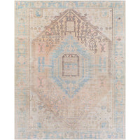 Distressed Medallion Machine Washable Area Soft Rug
