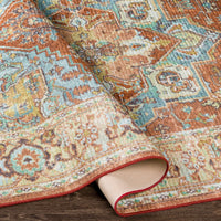 Persian Machine Washable Area Soft Rug