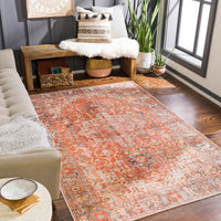 Persian Machine Washable Area Soft Rug