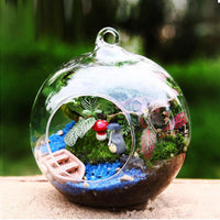 Ball Globe Hanging Glass Vase
