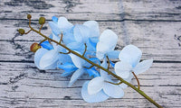 Orchid Flowers - 1pc