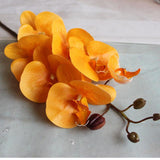 Orchid Flowers - 1pc