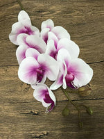 Orchid Flowers - 1pc