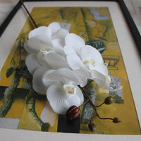 Orchid Flowers - 1pc