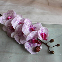 Orchid Flowers - 1pc