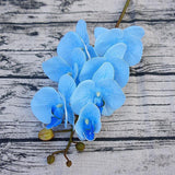 Orchid Flowers - 1pc