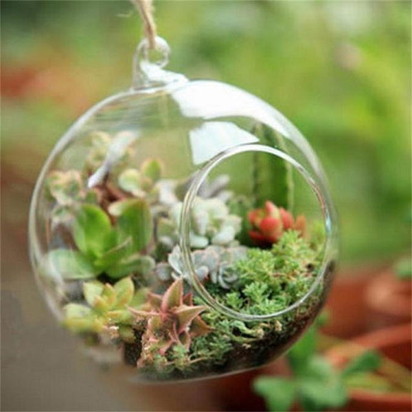 Ball Globe Hanging Glass Vase